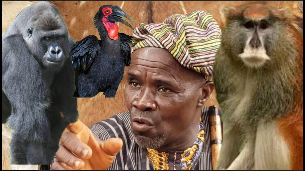 OGBOJU ODE // ALUJONNU EBORA (DEMON) TO BABA MI WALEYIN IGBA TO YIN IBON SI ERAN TAN, OTUTU SI NPA..