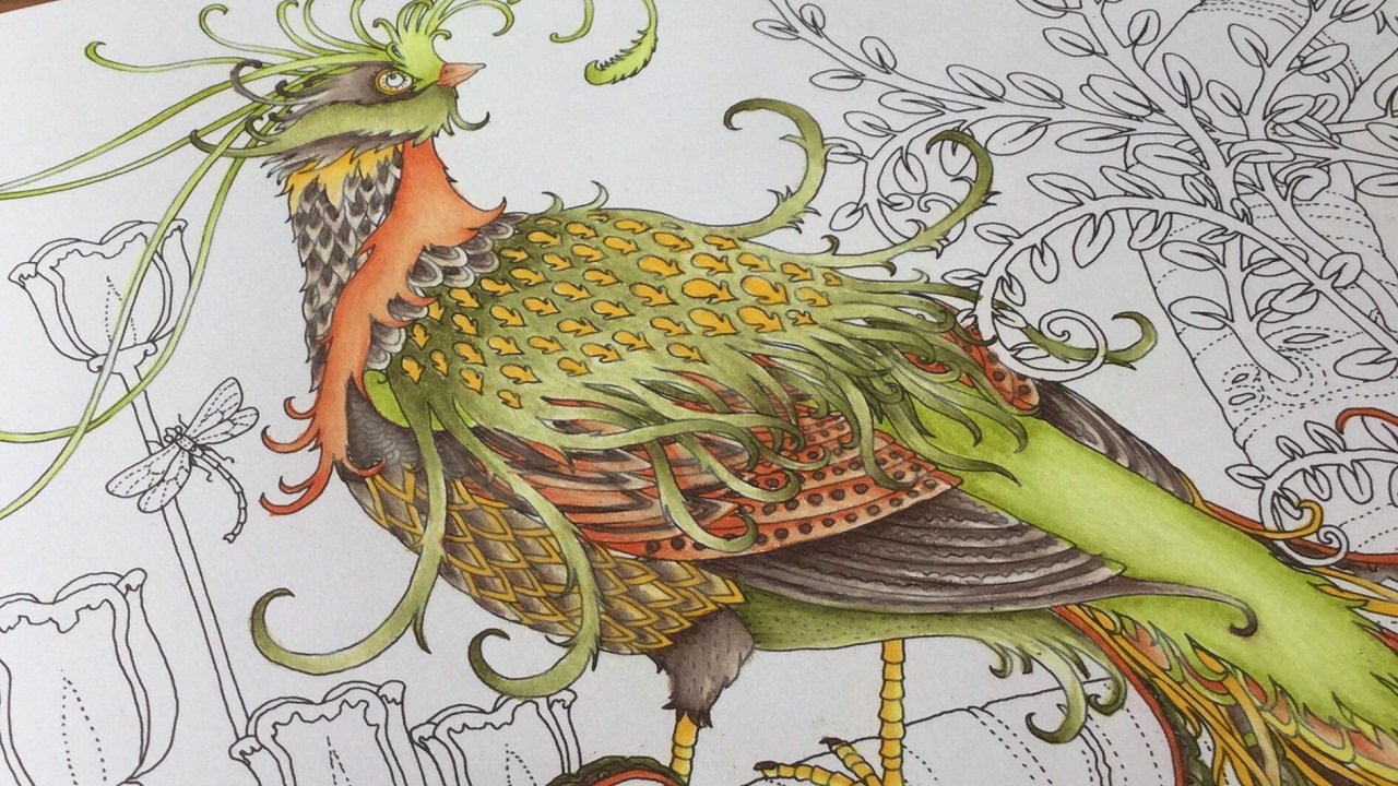 ZEMLJA SNOVA - prismacolor pencils - part 1