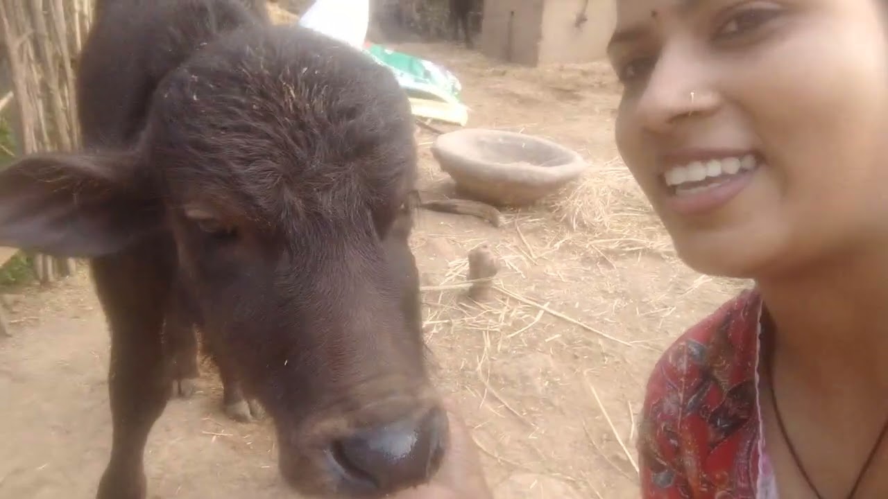 A day of my life 