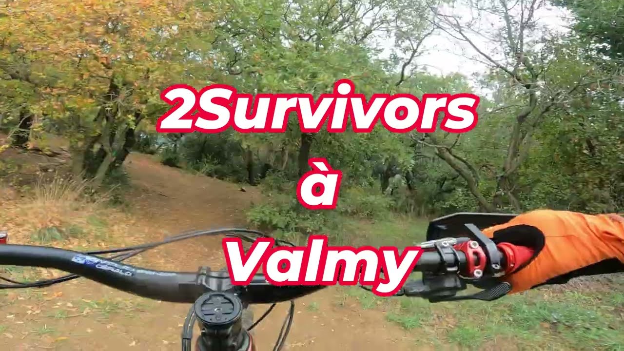 VTTAUPARADIS