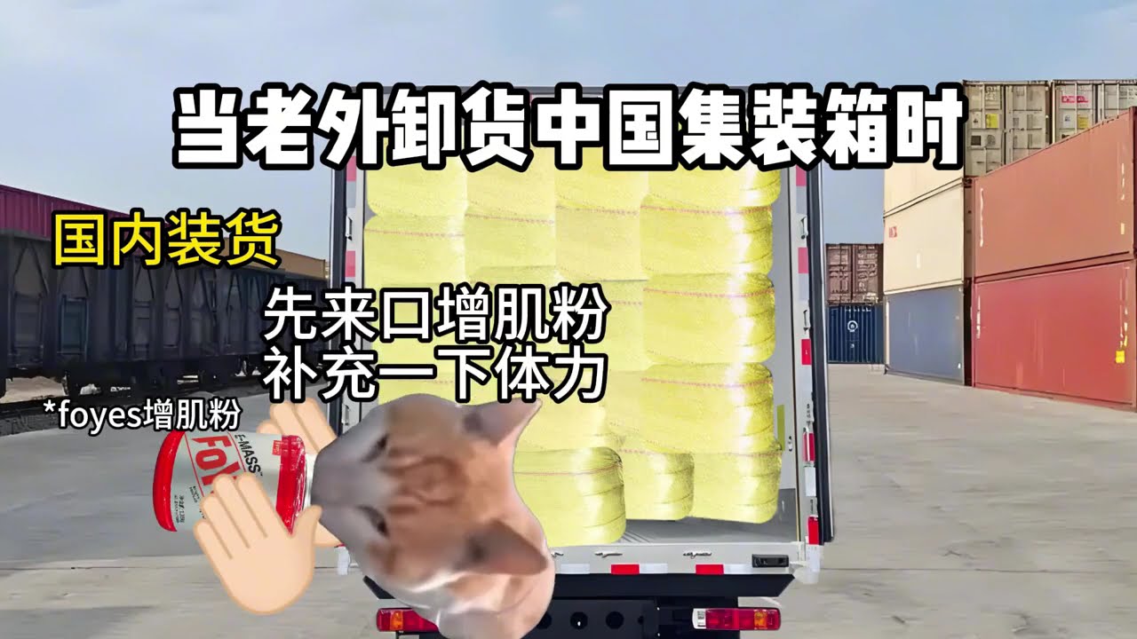 猫meme的日常-当老外卸货中国集装箱时