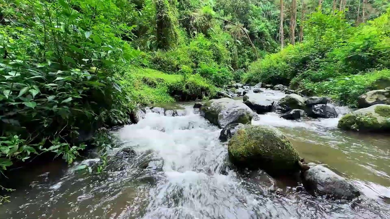 Soothe your inner worries with soft river flow tonight in a quiet woodland area for deep rest