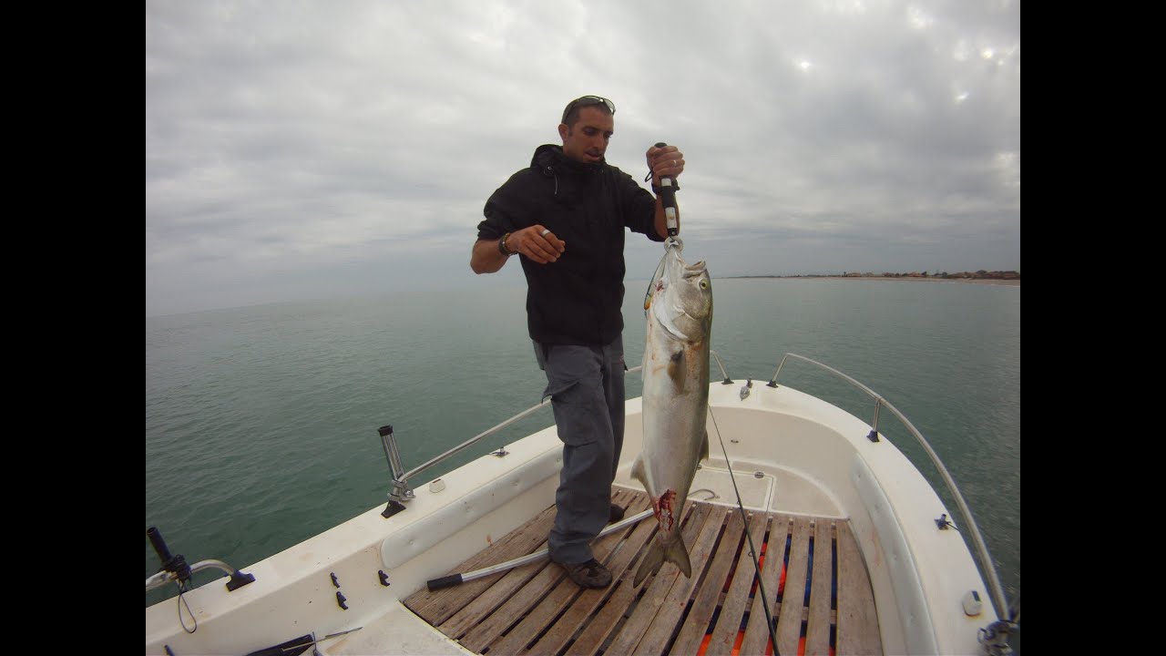 Monster Bluefish - Pesca Spinning Pesci Serra - Top Water Fishing Lure