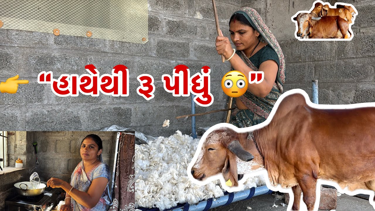 Daksha Ye Kem Haathe Ru Pijiyu? 🤔😳 | દક્ષા એ હાથેથી રૂ કેમ પીજીયું | Village Life Vlog