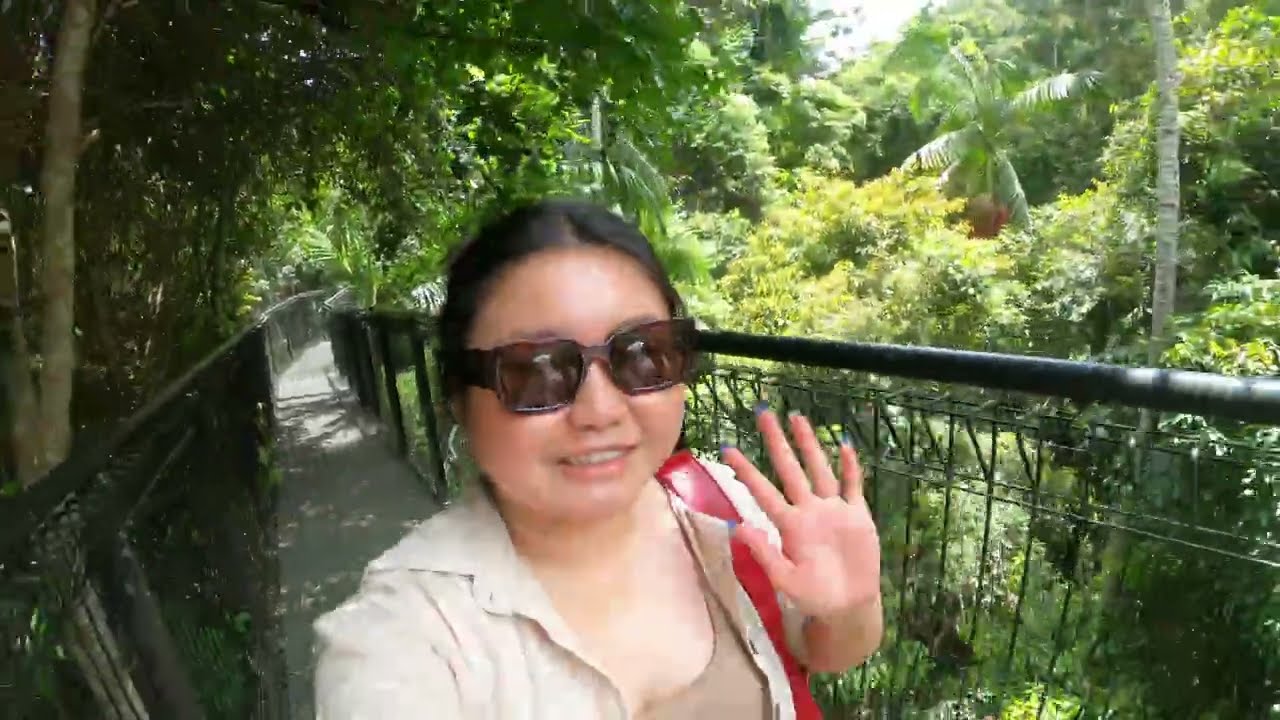 Beautiful view and nature at Mount Tamborine