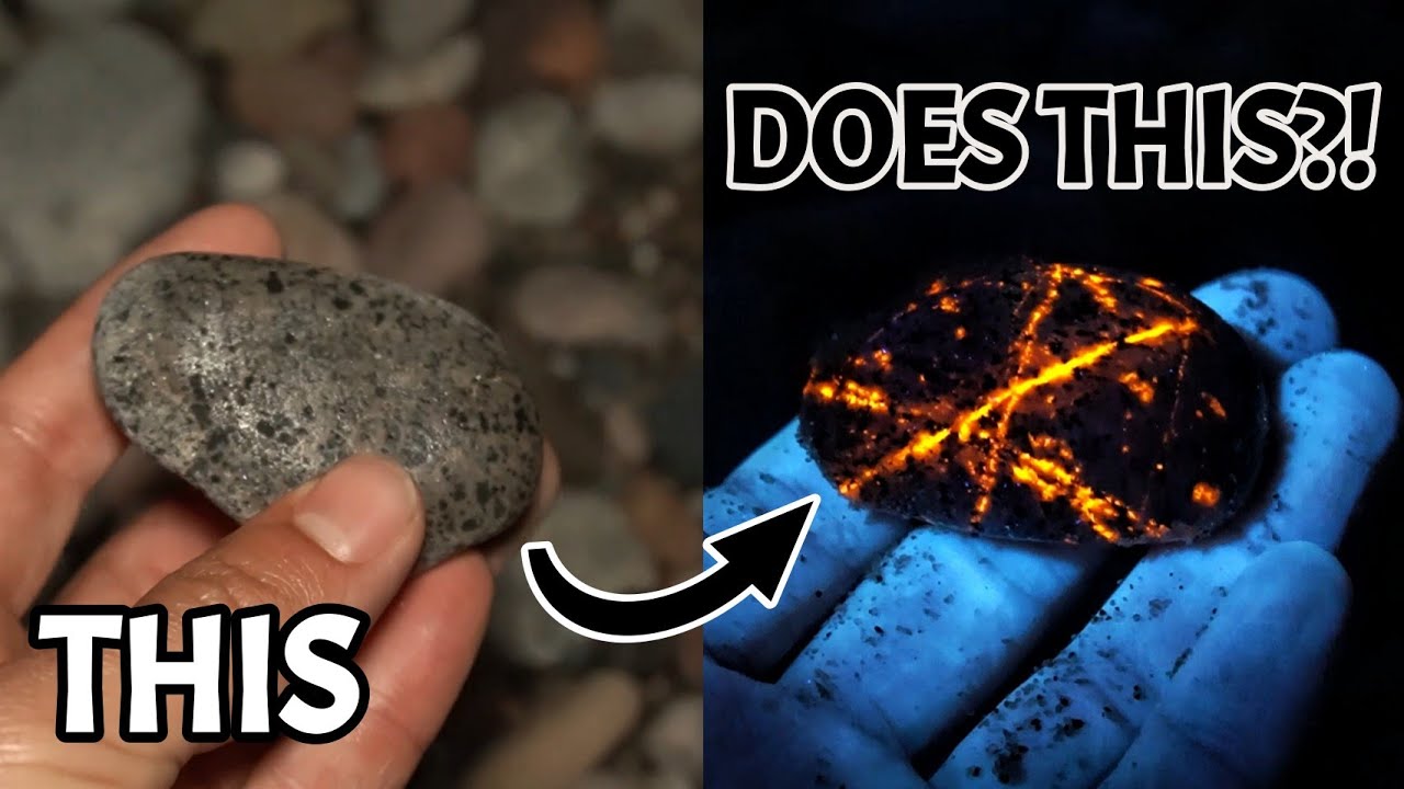 Black Light Reveals Something INCREDIBLE in These Stones! Michigan Yooperlite Hunting