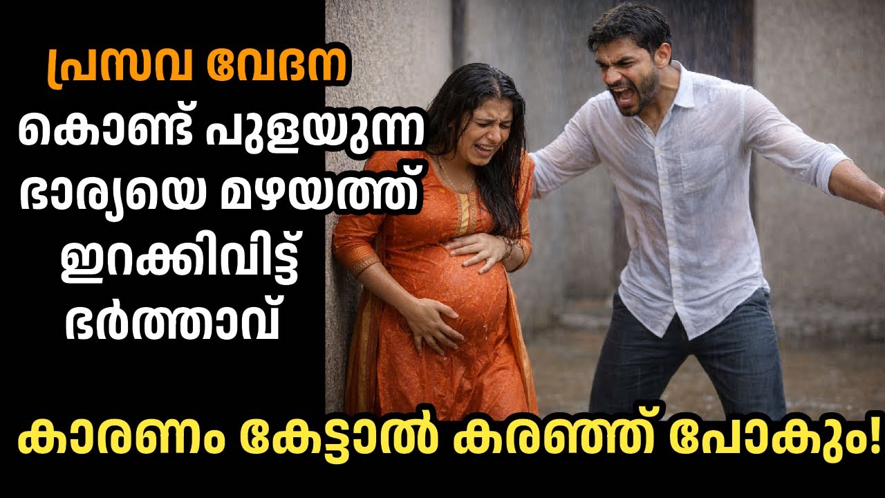പൂർണ ഗർഭിണിയെ പെരുമഴയത്ത് ഇറക്കി വിട്ട് ഭർത്താവ്,പിന്നീട് അവൾ അവനോട് ചെയ്‍തത് കണ്ട് നാട്ടുകാർ ഞെട്ടി