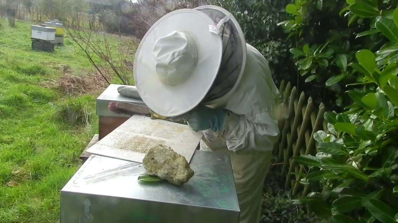 Nouvelle apiculture 2025 pour les apiculteurs amateurs comment gérer ses colonies  simplement