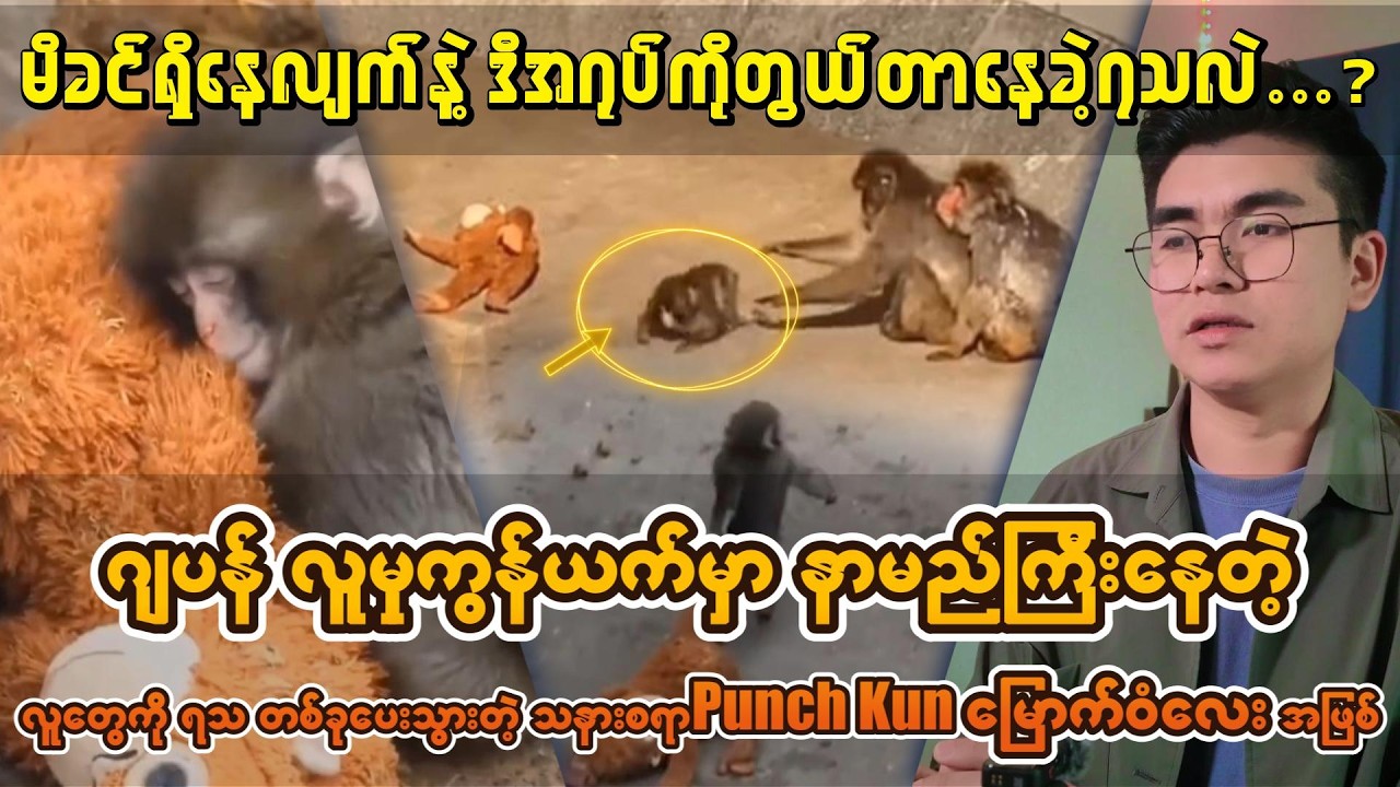 ဂျပန်လူမှုကွန်ယက်မှာ နာမည်ကြီးနေတဲ့ မြောက်ဝံလေးရဲ့ မိခင်နွေးထွေးမှုမရတဲ့  စိတ်မကောင်းစရာဖြစ်ရပ်