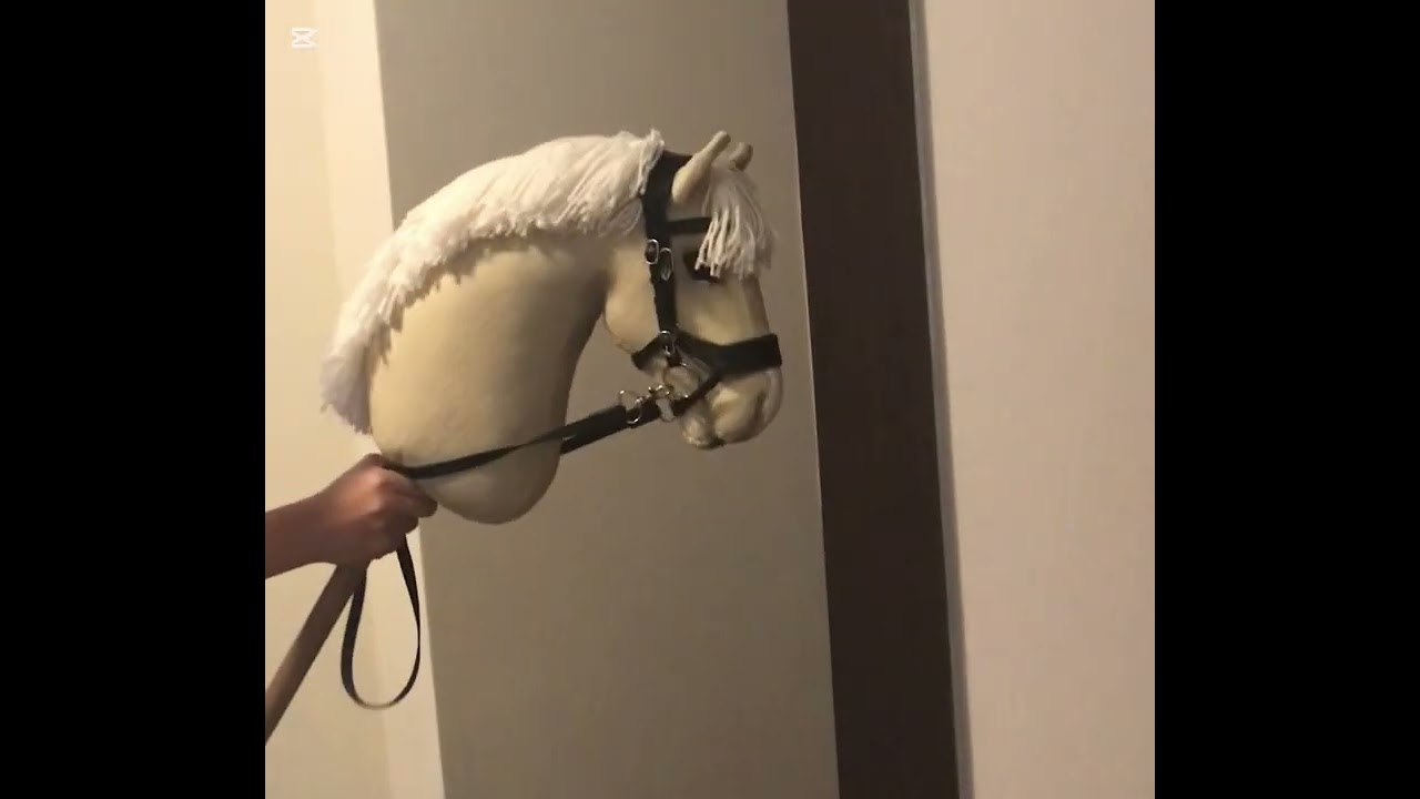 Kremcia 💕 #hgkcremeauxamandes #hobbyhorse #hobbyhorses #hobbyhorsing #hh #kht #keppihevostalli 