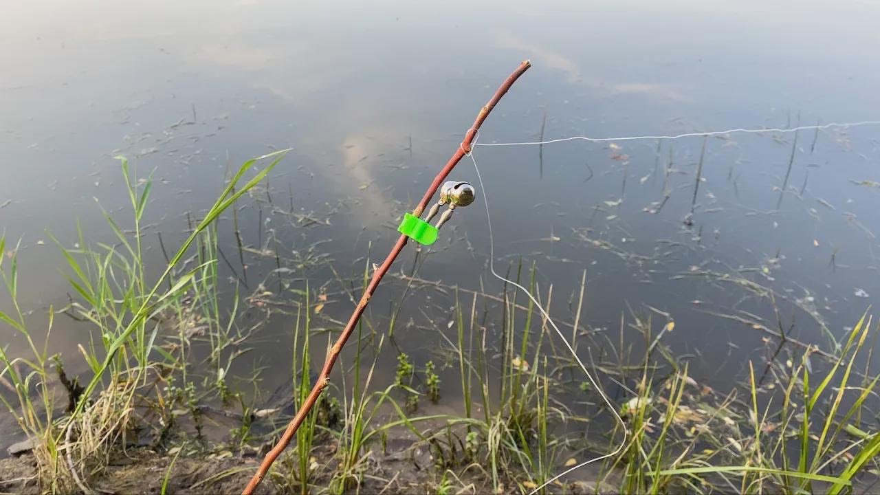 ¡Atascón de carpas después de desove! Pesca con carnada tradicional y masa de semillas