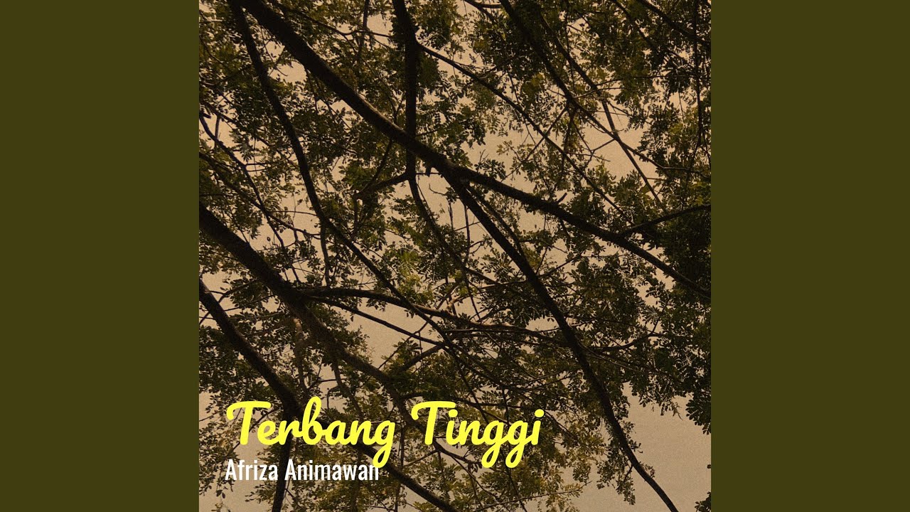 Terbang Tinggi