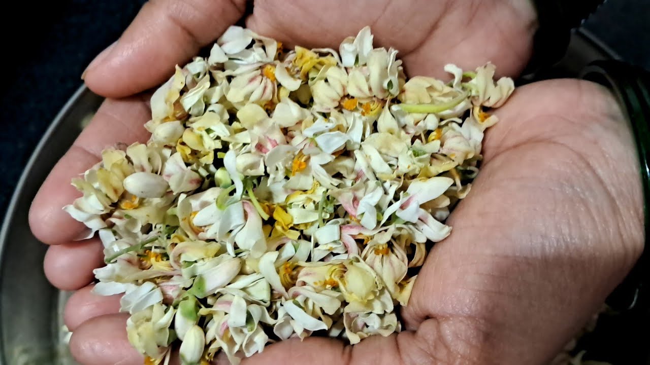 पौष्टिक आणि चविष्ट शेवग्याच्या फुलांची भाजी #shevgyyachyafulanchibhaji #drumsticksflowerrecipe 