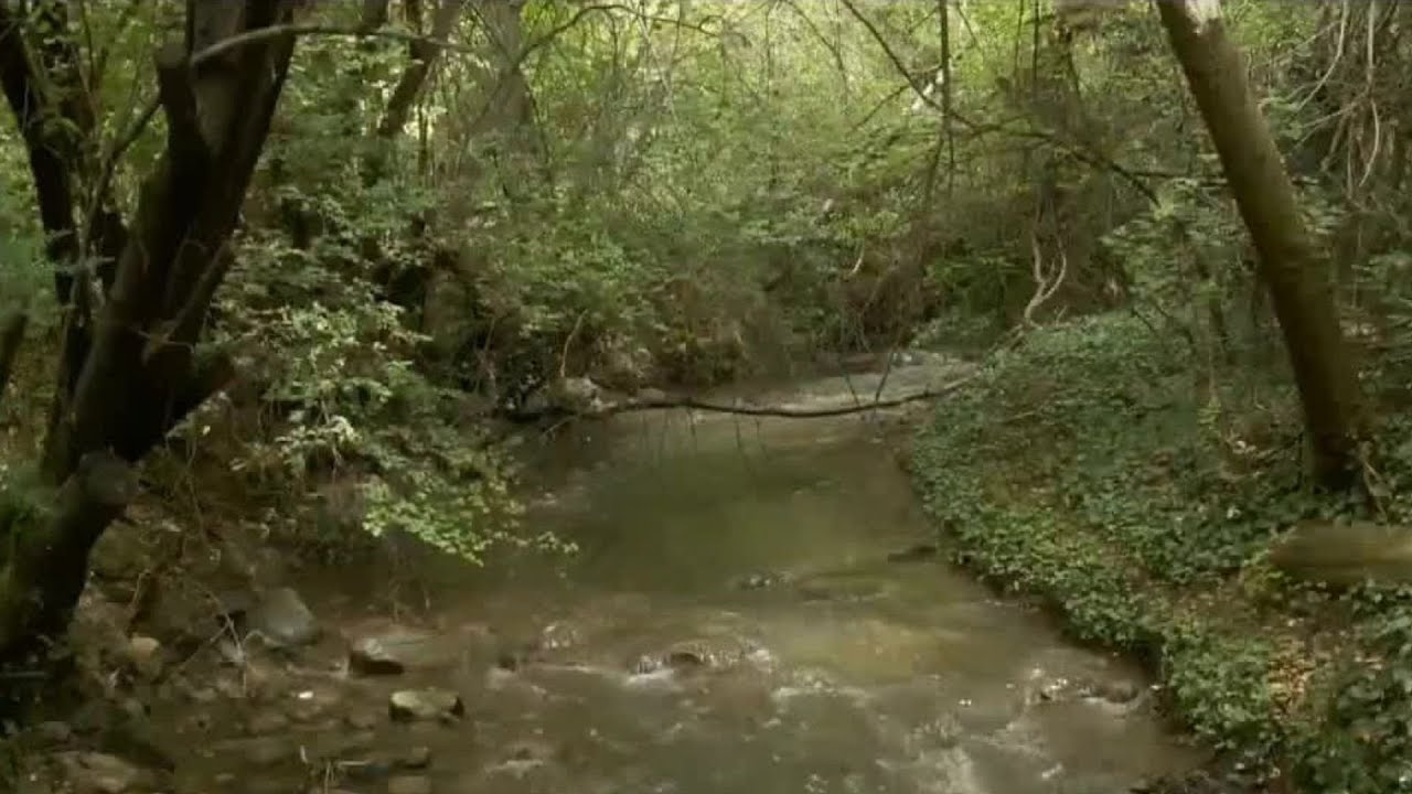 Concrete spills into Millcreek stream