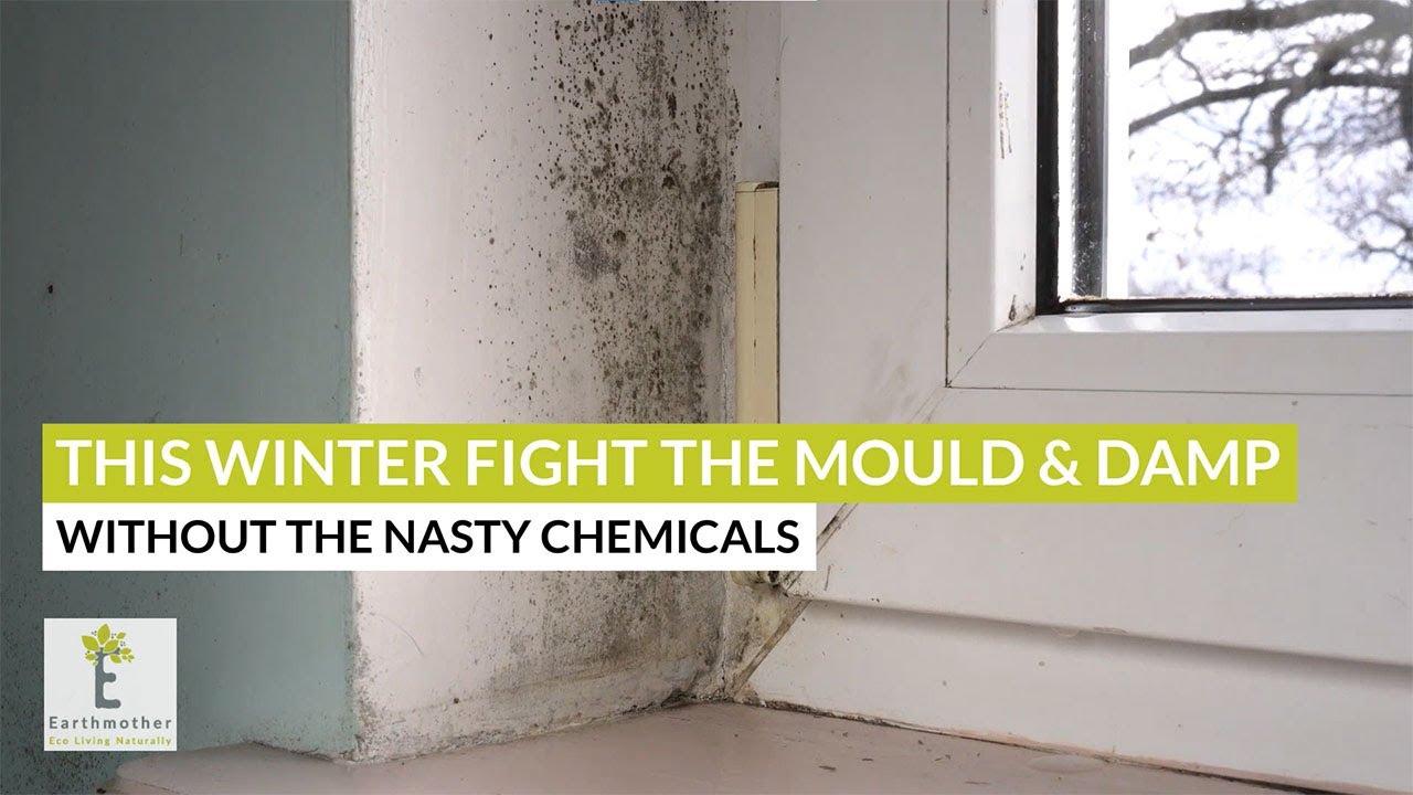 How to easily stop damp, moisture and mould the eco way.