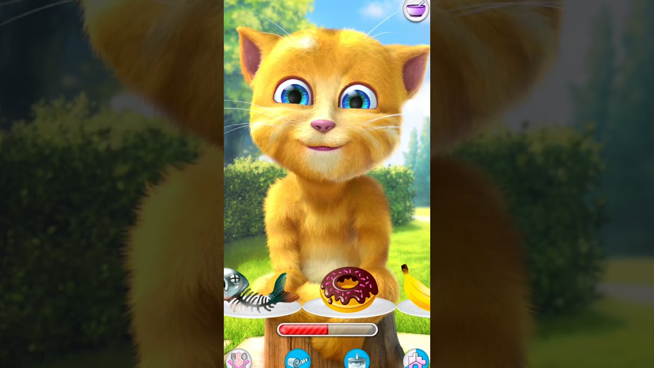 Talking Ginger 2 #short #vairal #funny #tom #ginger