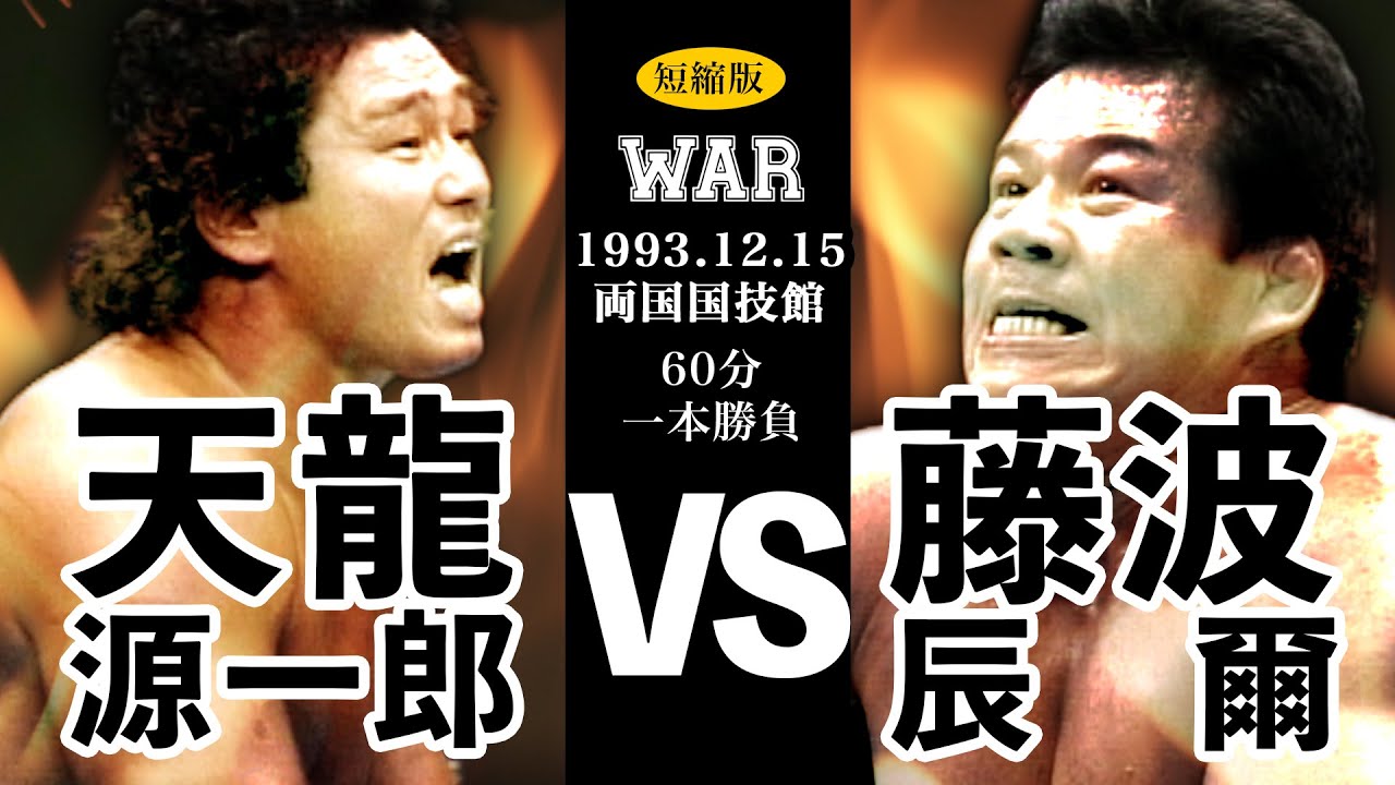 【天龍源一郎 vs 藤波辰爾】 WAR 1993.12.15 両国国技館 60分一本勝負 短縮版