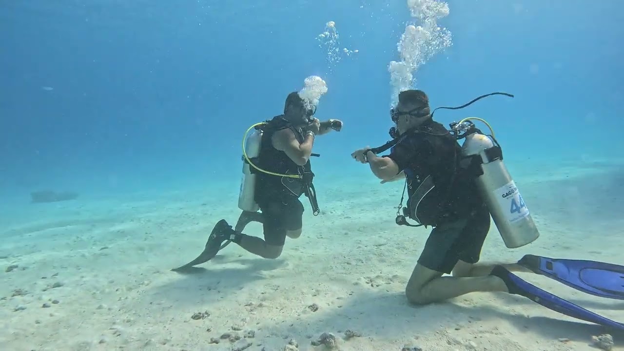 fun diving