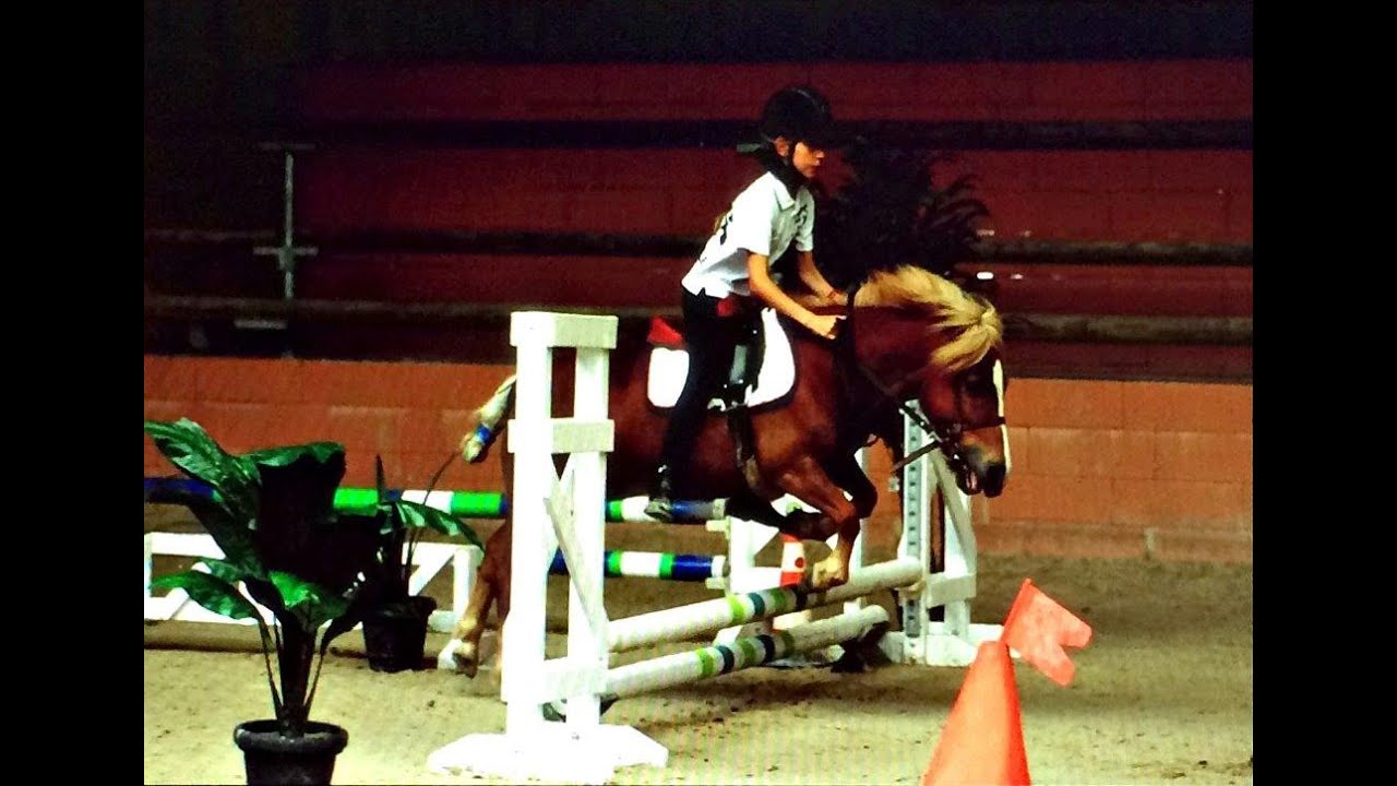 Equitation - Open de France d'Equifun - Lamotte Beuvron