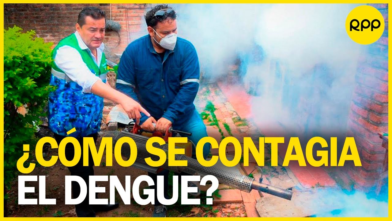 Incremento de casos de dengue en el Per&uacute;
