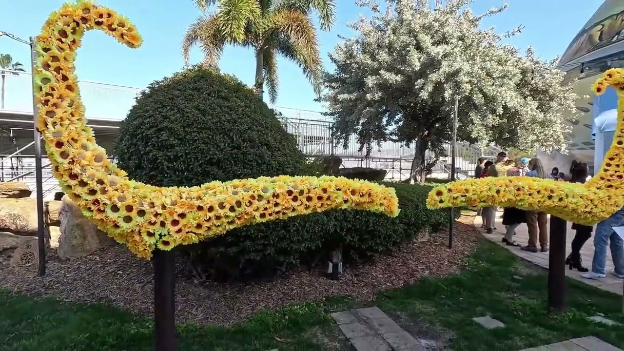 St Peterburg, Florida