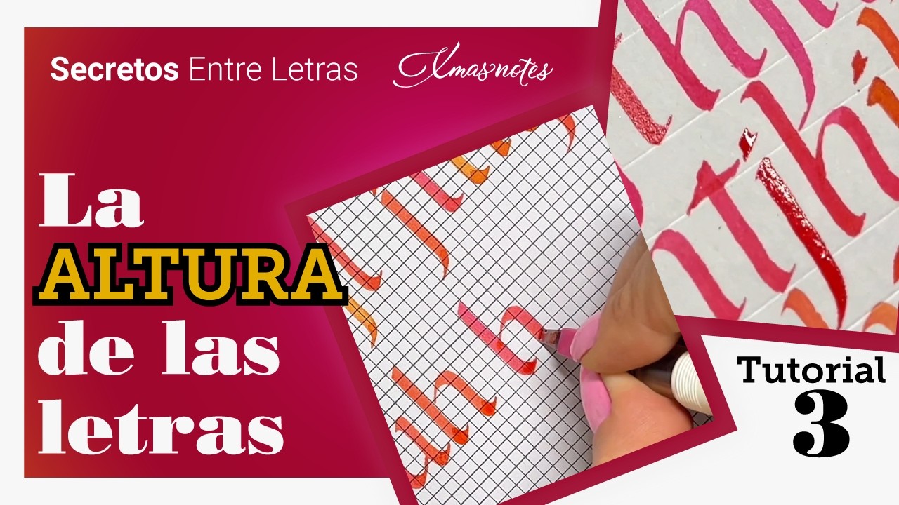 55 - LA ALTURA DE LAS LETRAS - EL MEJOR TUTORIAL PARA APRENDER CALIGRAFÍA - TUTORIAL 3