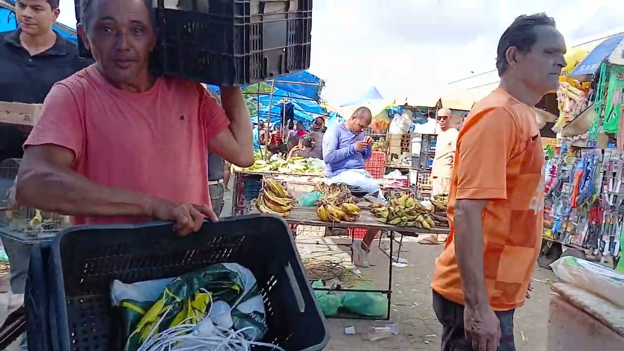 15 de março de 2026