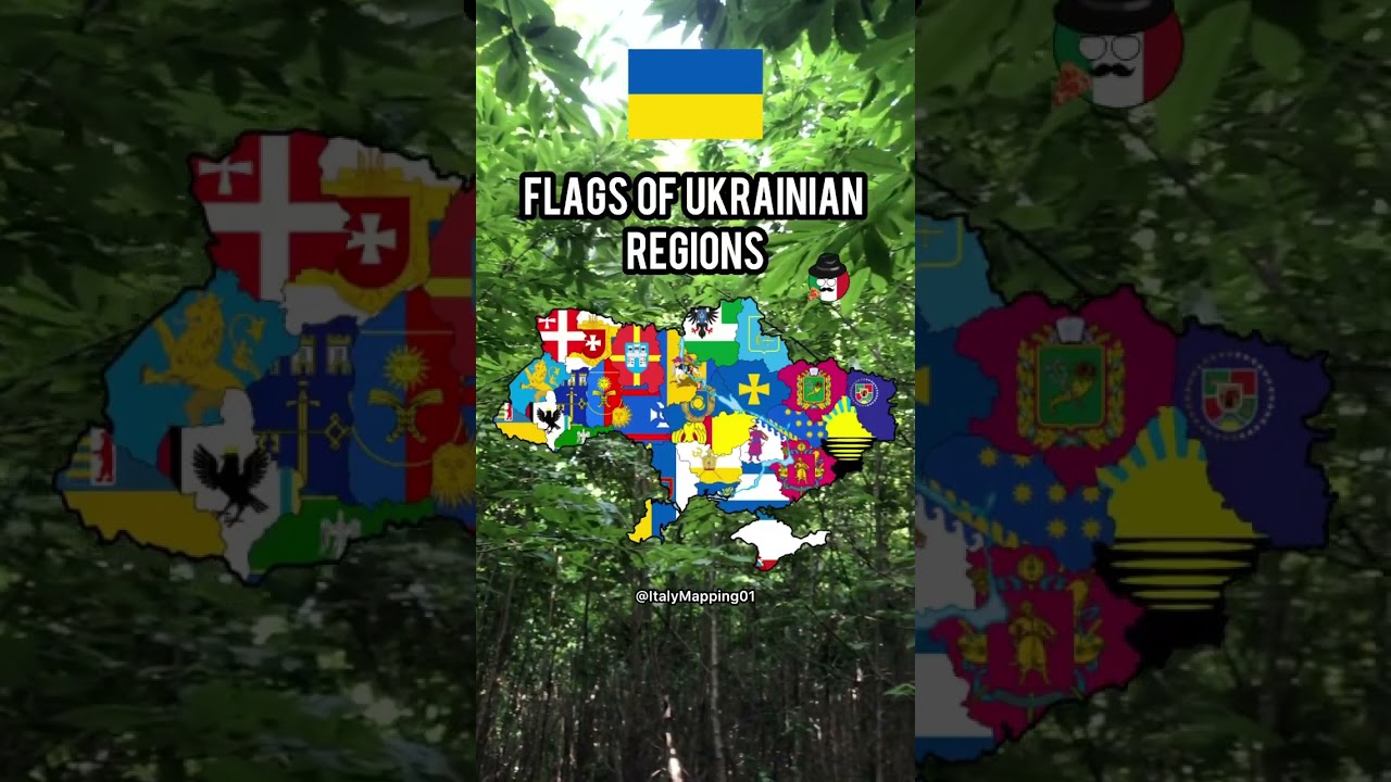 Flags of Ukrainian Regions #shorts #ukraine #mapping #map #geography #fyp #viral
