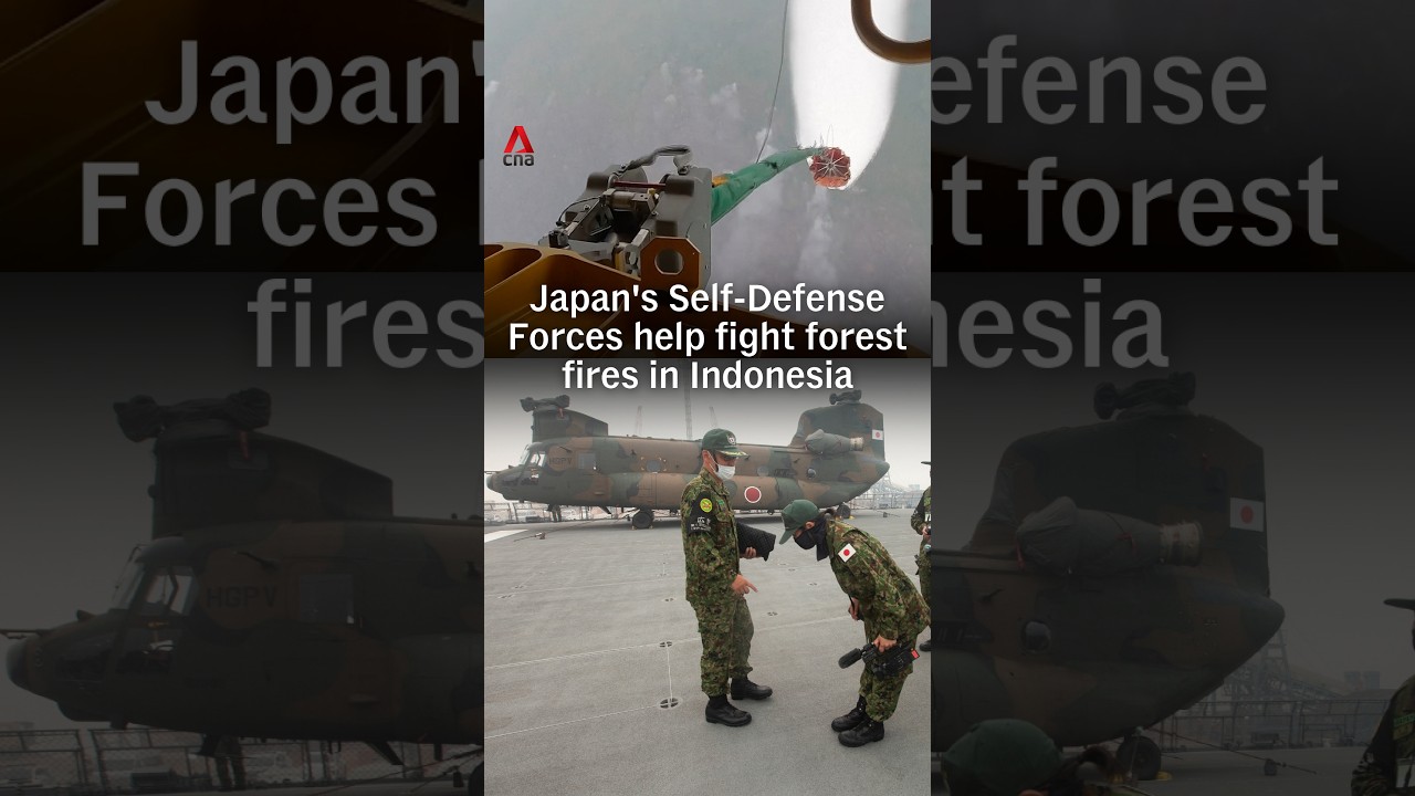 Japan's Self-Defense Forces help fight forest fires in Indonesia