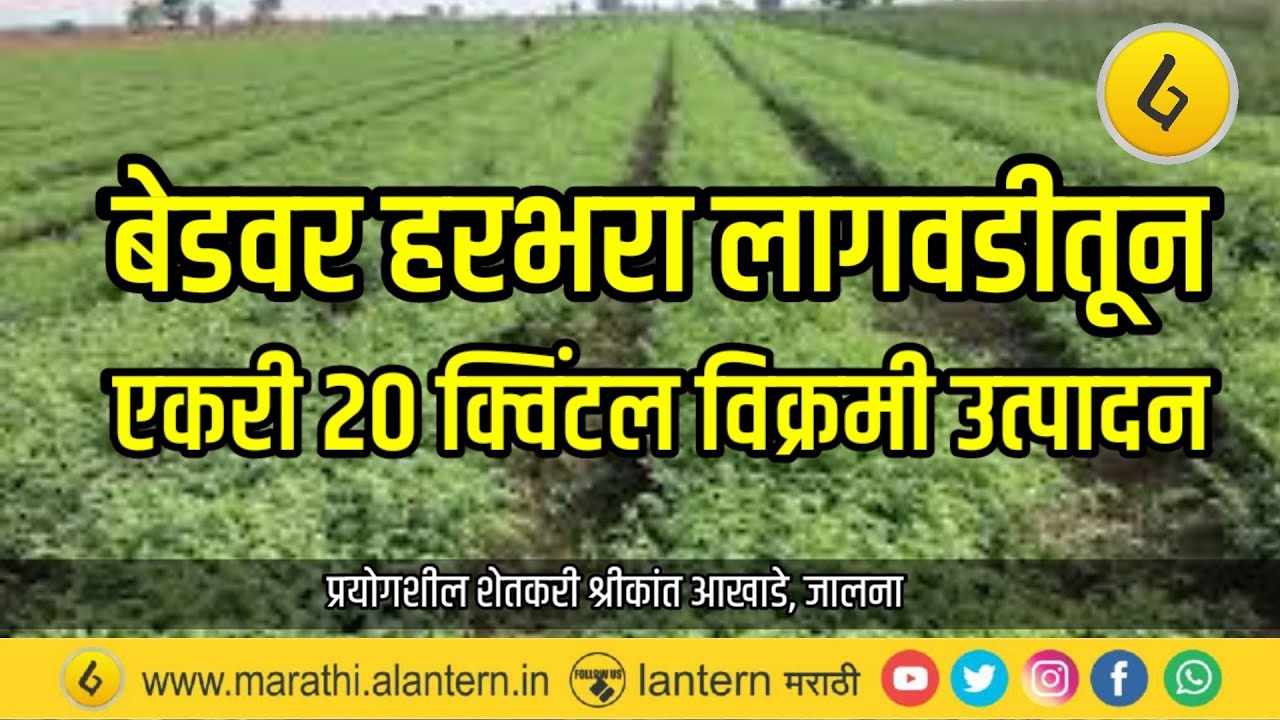 बेडवरील हरभरा लागवड | एकरी 20 क्विंटल उत्पन्न