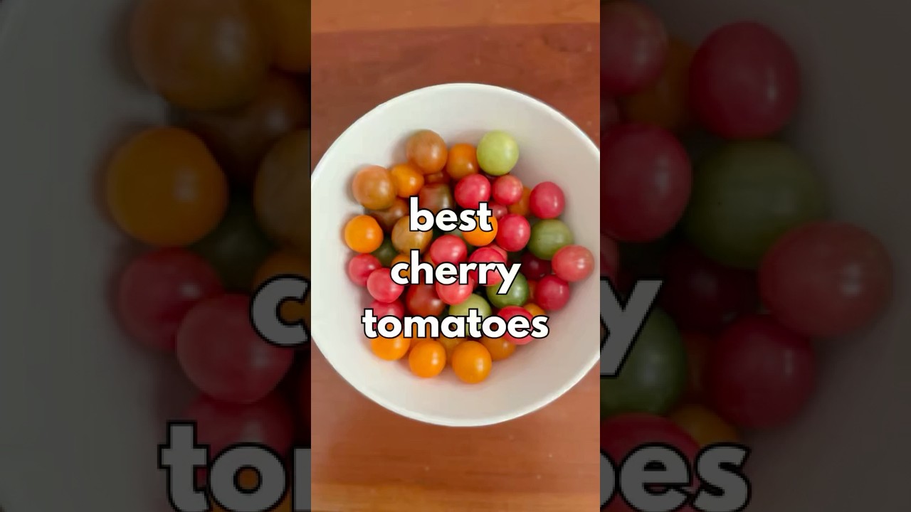 Best cherry tomatoes