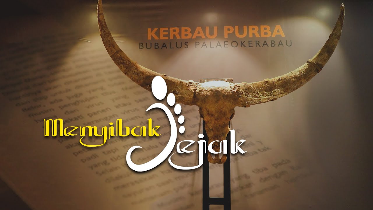 LOMBA VIDEO KONTEN LITERASI KABUPATEN GROBOGAN - MENYIBAK JEJAK