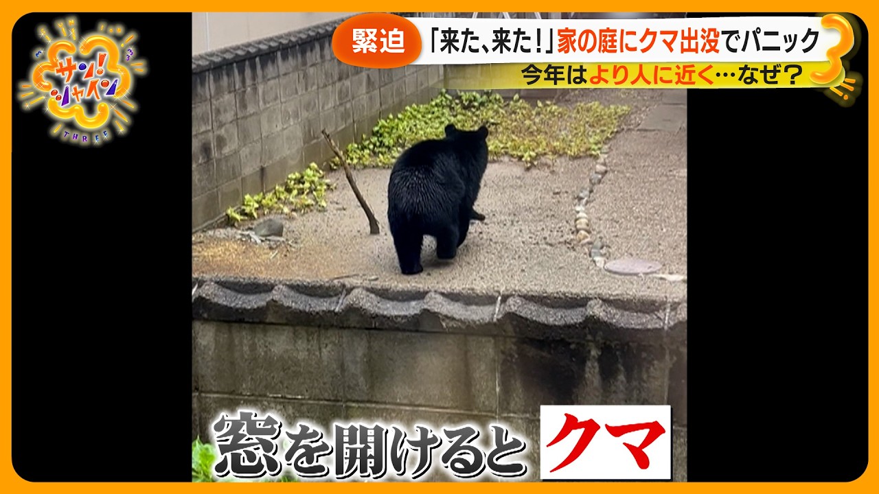 【緊迫】秋田市住宅街に侵入 ｢アーバンベア｣ 今年出没相次ぐ理由～もし遭遇したらどう対処？【サン！シャインニュース】