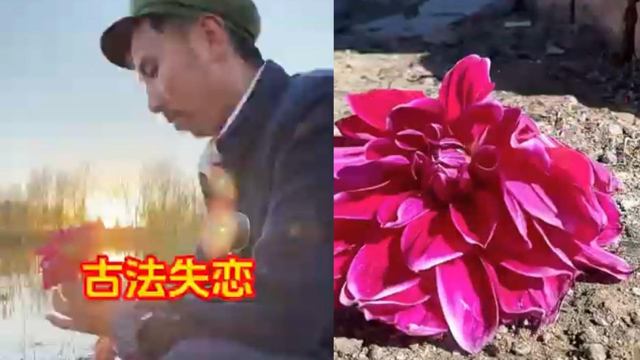 少男情怀，总是诗，哎~#美食分享日常 #美食 #美食分享