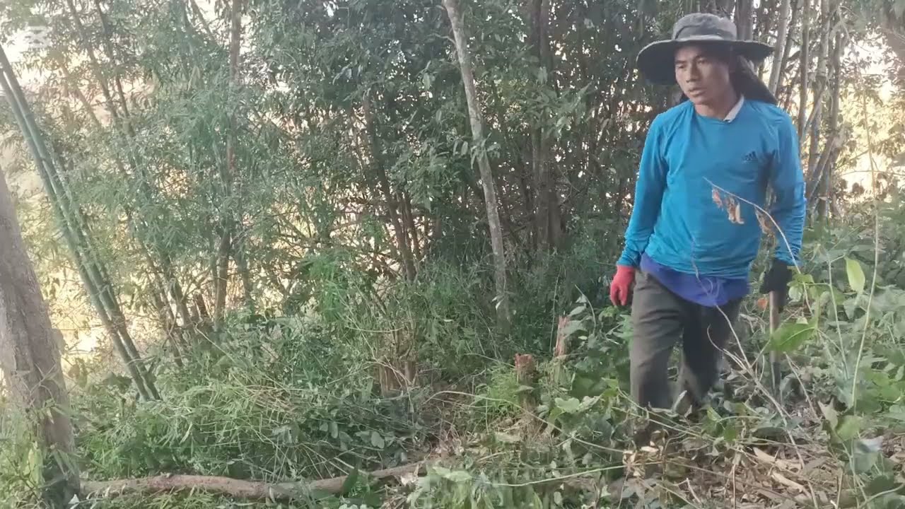 Pobzeb lub neej ua teb luaj teb qub zog puam las 