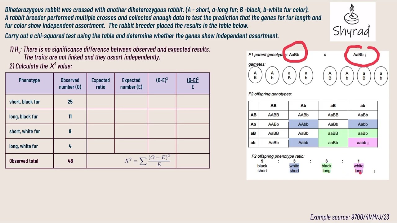 Chi-squared test/ worked example