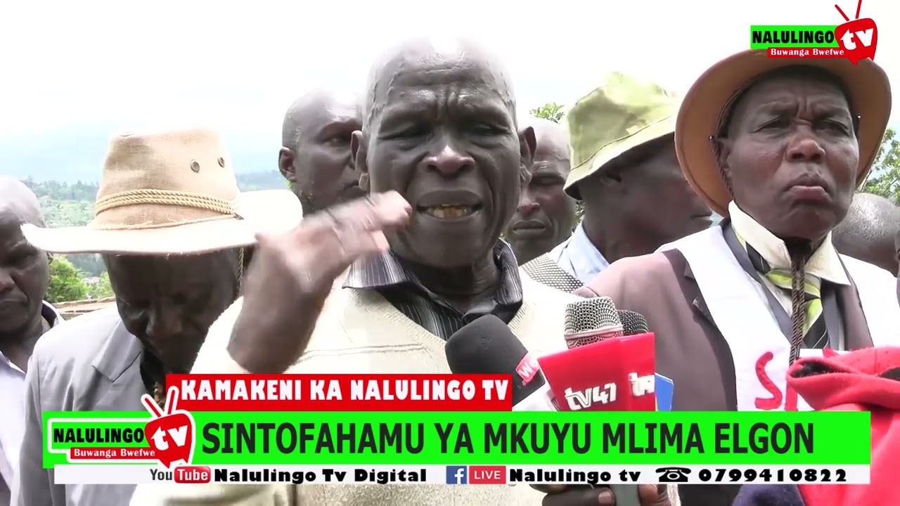 Utata wa Mti wa Mkuyu Mlima Elgon Bungoma