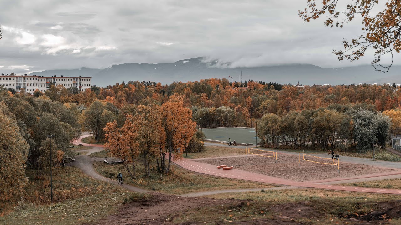 4K - Discgolf på Charlottenlund