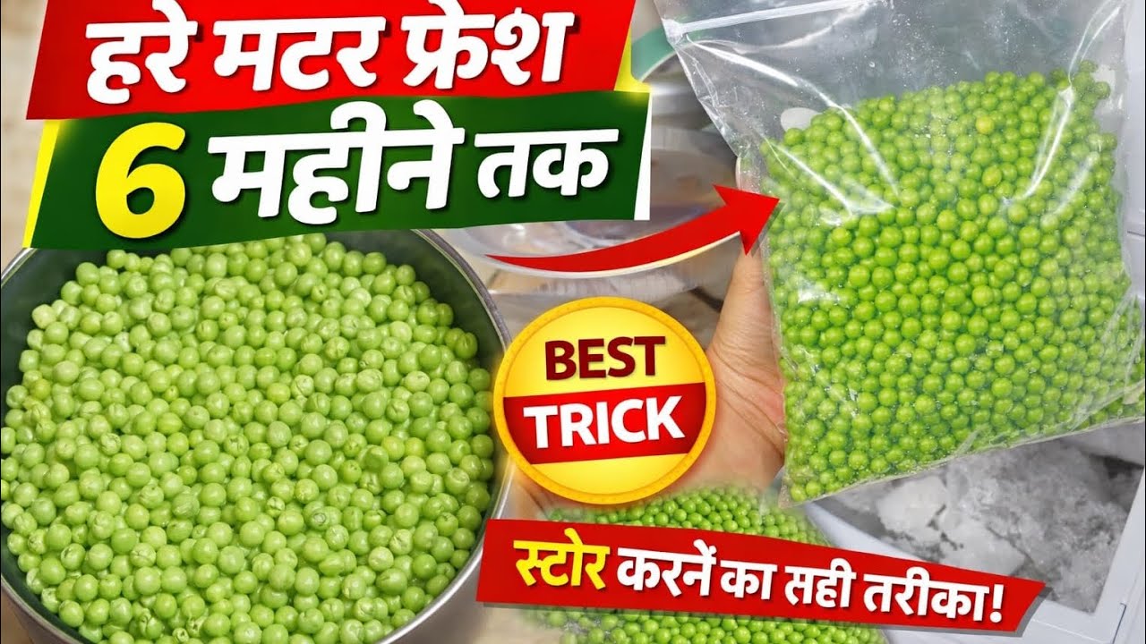 हरे मटर को 6 महीने तक फ्रेश रखें 😱 | Green Peas Storage Trick | Matar Store Karne Ka Sahi Tarika