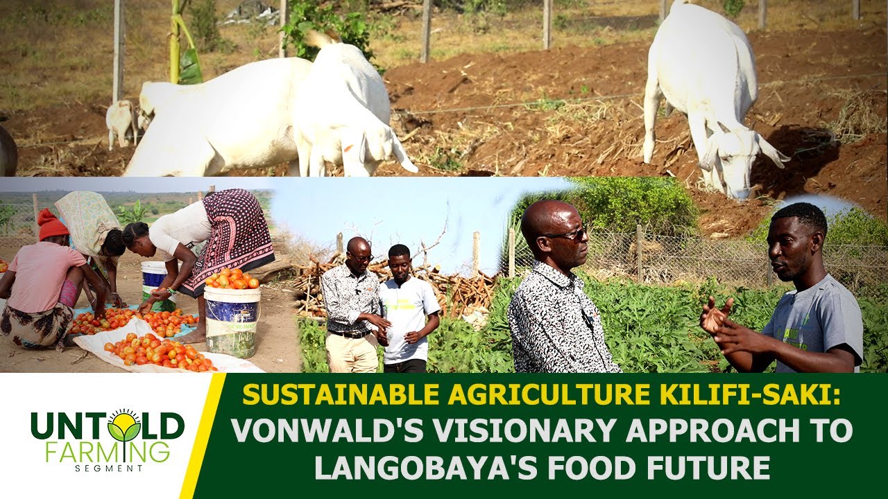 SUSTAINABLE AGRICULTURE KILIFI-SAKI:VONWALD'S VISIONARY APPROACH TO LANGOBAYA'S FOOD FUTURE