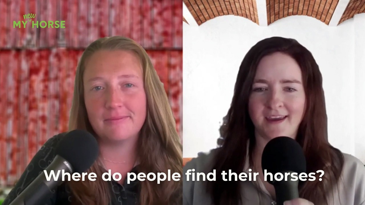 Where Do People Find Their Horses?