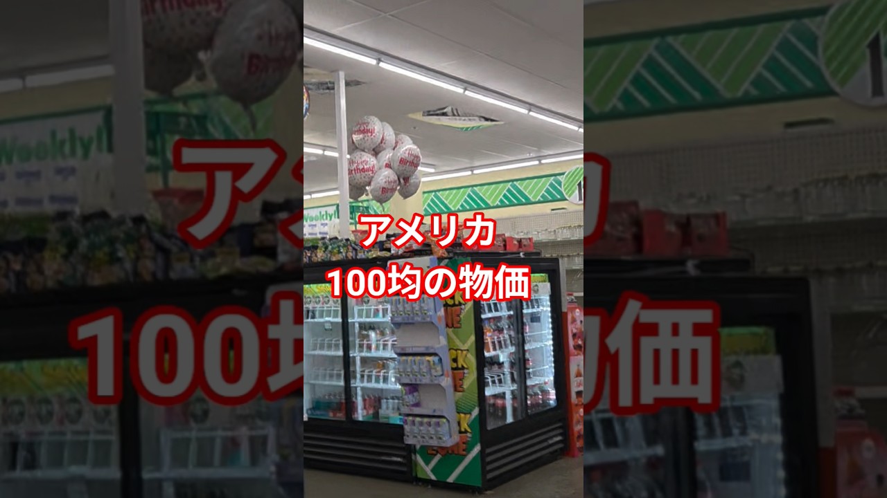 アメリカ100均の物価調査🇺🇸