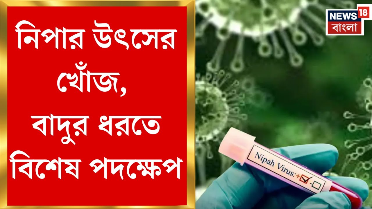 WB Nipah Virus | নিপার উৎসের খোঁজে কলকাতায় সমীক্ষা, জালে আটকানো বাদুড়ের শরীরের নমুনা সংগ্রহ