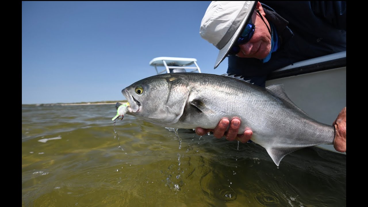 Lucky Liam Tackle World Fly Fishing The Bluefish Run with our New Orvis Helios 8 weight Fly Rod