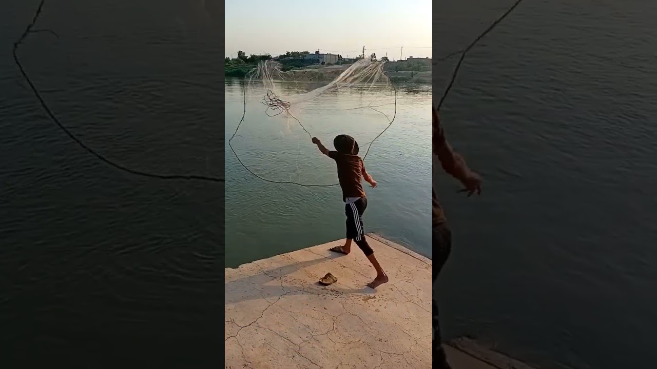 صيد بل سليه