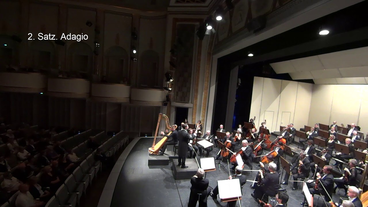 Carl Reinecke - concerto for harp and orchestra in e-minor op. 182 - Joel von Lerber