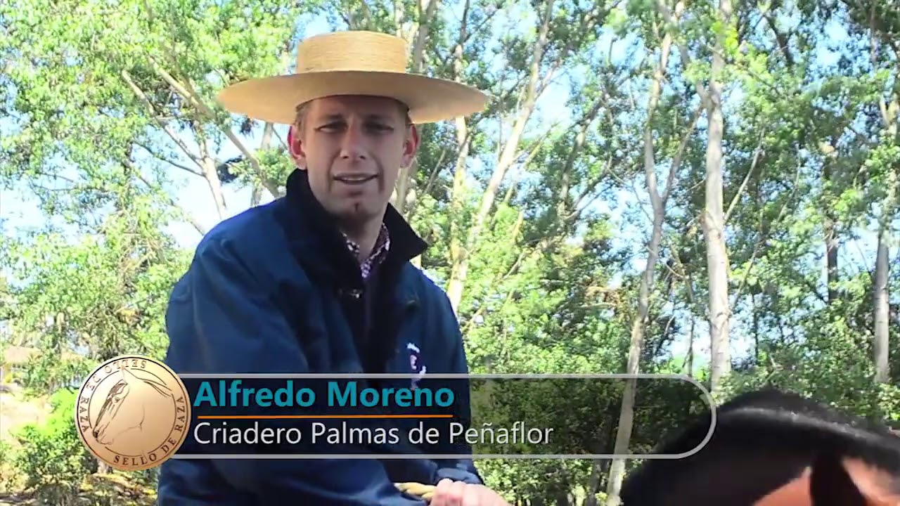 Sello de Raza Cap452 RR Palmas 2013