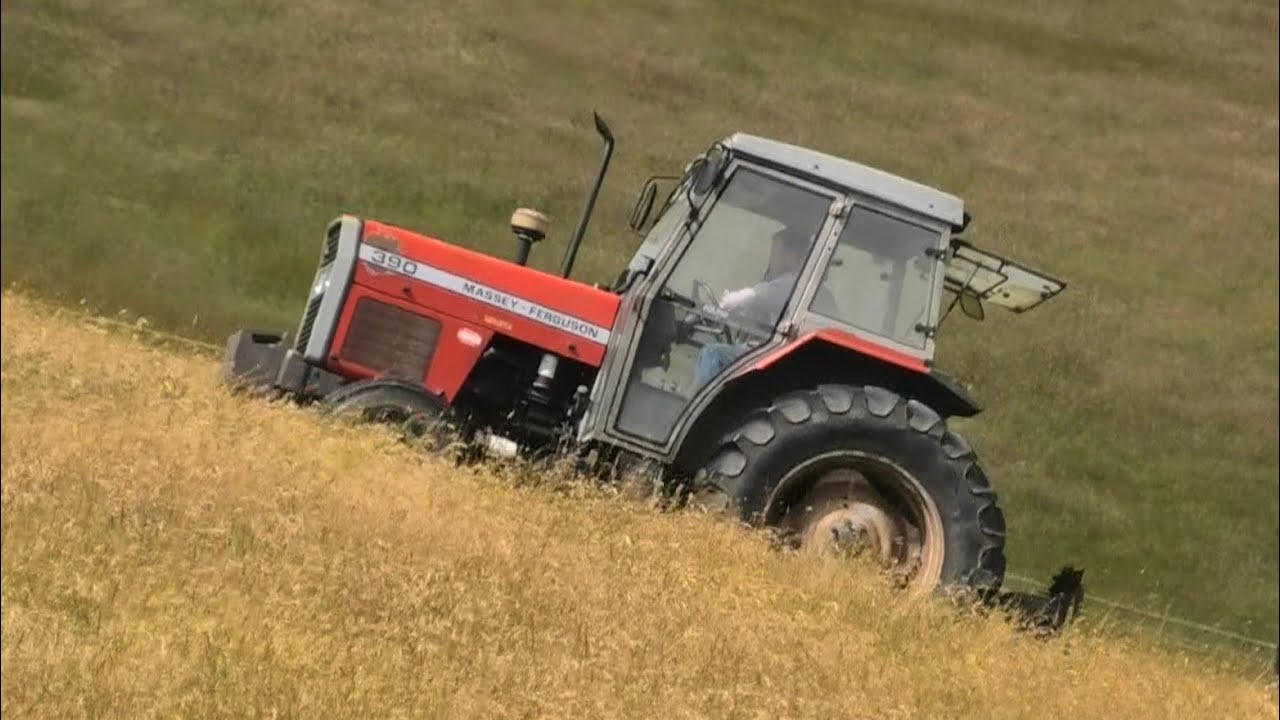 Massey Ferguson 390 mowing and Kubota M9960 Spreading 06/07/2023
