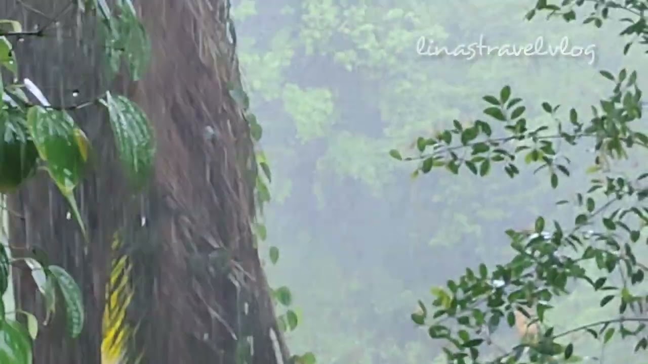 Raining/Heavy Rain/Karwar/Monsoon/Mazha/linastravelvlog