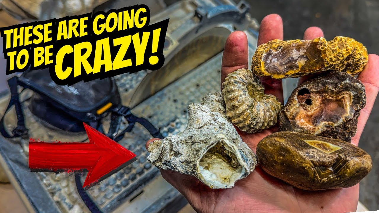 LIVE Agate Cutting!! Let&rsquo;s Cut Some Beautiful Minerals & Fossils!